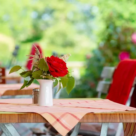 Hotel Hoisl-braeu 3*